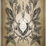 Coffret oracle : Antidote magique.