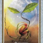 Coffret : L'oracle d'Aradia.