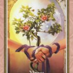 Coffret : L'oracle d'Aradia.