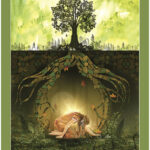 L'oracle des arbres médecine.