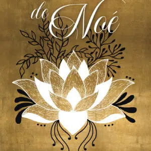 Coffret : L'oracle de Noé.