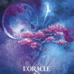 Coffret : L'oracle de la reconnexion.