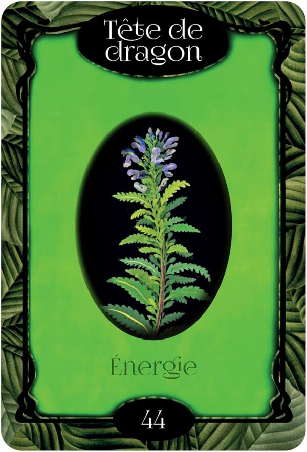 L'Oracle des fleurs - Gabriel Sanchez – Image 10