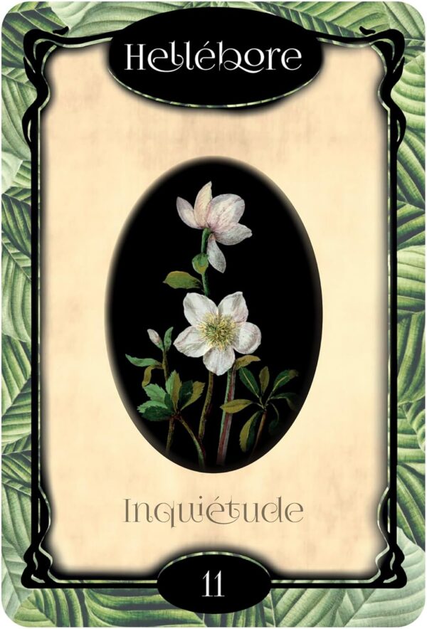 L'Oracle des fleurs - Gabriel Sanchez – Image 4