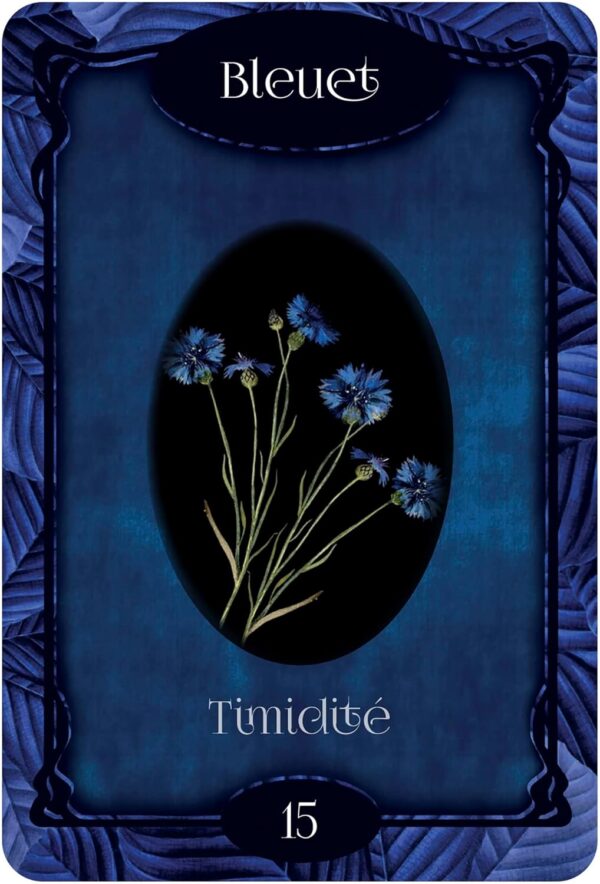 L'Oracle des fleurs - Gabriel Sanchez – Image 5