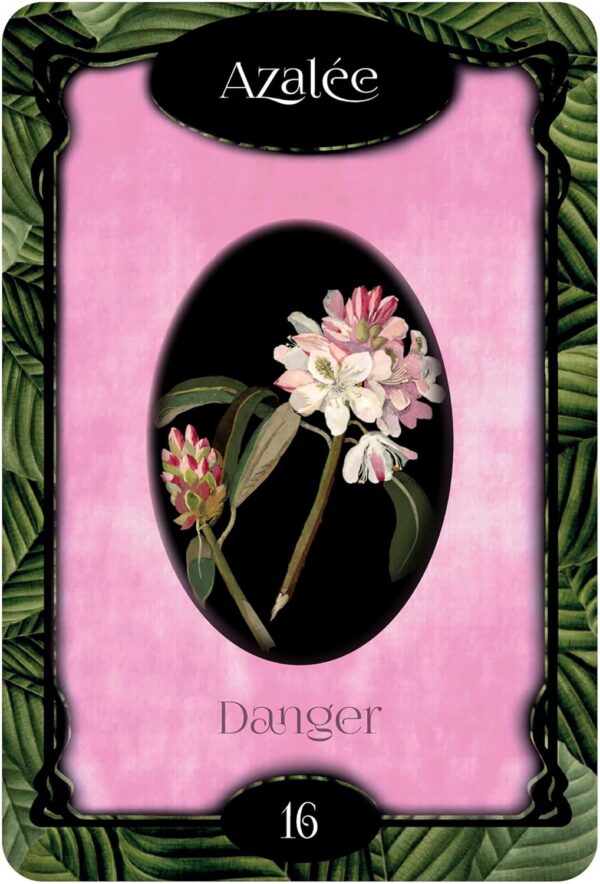 L'Oracle des fleurs - Gabriel Sanchez – Image 6