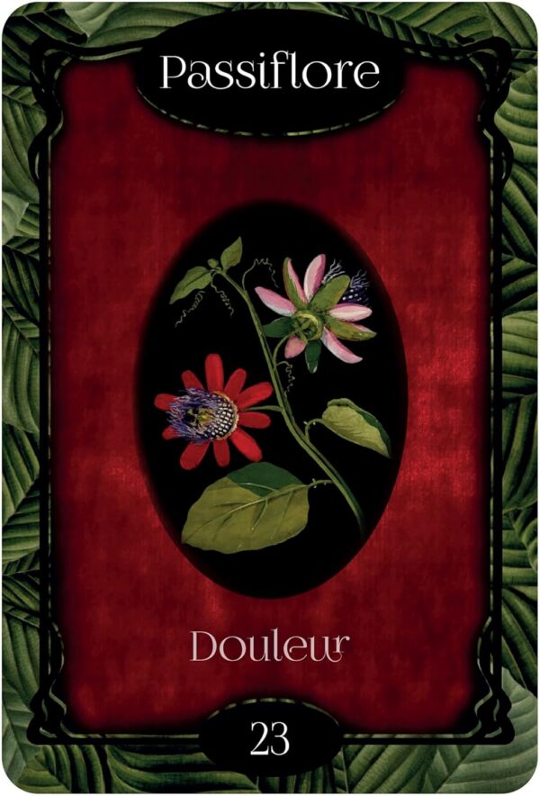 L'Oracle des fleurs - Gabriel Sanchez – Image 7