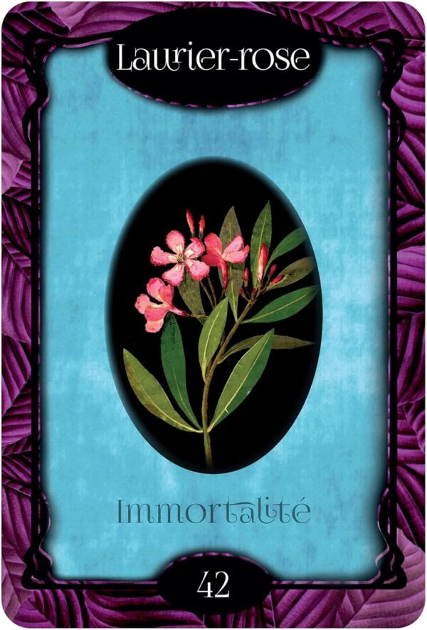 L'Oracle des fleurs - Gabriel Sanchez – Image 9