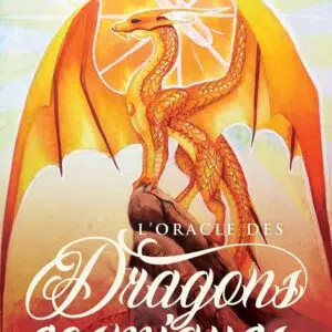 Coffret l'oracle des dragons cosmiques.