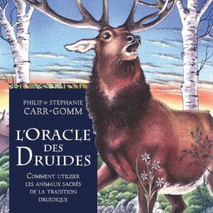 Coffret L'oracle des druides.