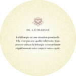 Coffret : L'oracle du bouddhisme.