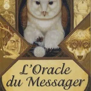 Coffret : L'oracle du messager.