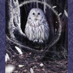 Coffret : L'oracle des êtres fantastiques.