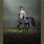 Coffret : L'oracle des êtres fantastiques.