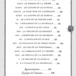 L'oracle des gardiens des bois et des forêts.