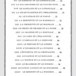 L'oracle des gardiens des bois et des forêts.