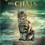 Coffret L'oracle initiatique des chats.