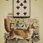 Coffret : L'oracle Lenormand, d'Alexandre Musruck.