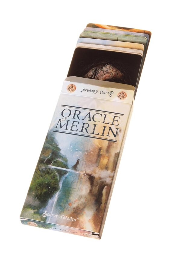 L'oracle de Merlin - Magali & Sara Mottet – Image 4