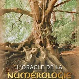 Coffret L'Oracle de la numérologie karmique