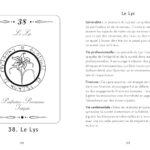 Coffret Oracle : Pentacles de l'Abbé Julio.