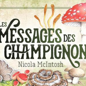 Coffre : Mon oracle de poche - Les messages des champignons.