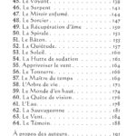 L'oracle pocket du chaman mystique.