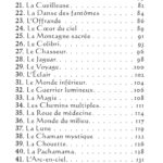 L'oracle pocket du chaman mystique.