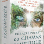 L'oracle pocket du chaman mystique.