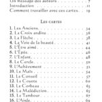L'oracle pocket du chaman mystique.