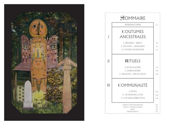 Paiens : célébrer la nature sacrée et les anciens dieux - Ethan Doyle White – Image 2