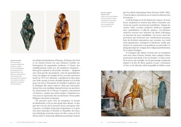 Paiens : célébrer la nature sacrée et les anciens dieux - Ethan Doyle White – Image 4