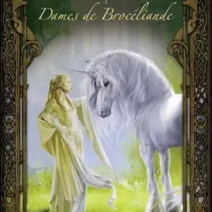 Livre petit grimoire dames de Brocéliande.