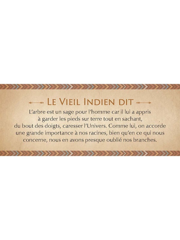 Le petit oracle des sagesses amérindiennes - Dylan Collin – Image 5