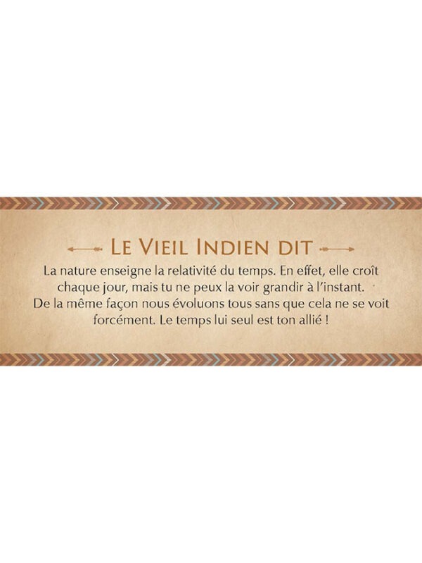 Le petit oracle des sagesses amérindiennes - Dylan Collin – Image 6