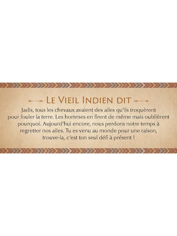 Le petit oracle des sagesses amérindiennes - Dylan Collin – Image 8
