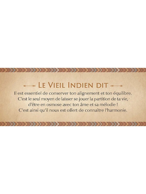 Le petit oracle des sagesses amérindiennes - Dylan Collin – Image 9