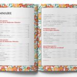 Livre : Petit précis de médecine chinoise.