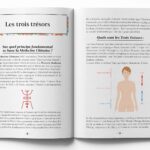 Livre : Petit précis de médecine chinoise.