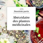 Livre : Petit précis des plantes médicinales.