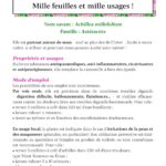 Livre : Petit précis des plantes médicinales.