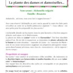 Livre : Petit précis des plantes médicinales.