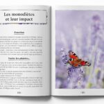 Livre : Petit précis de réflexologie.