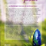 Livre : Les pierres au quotidien.