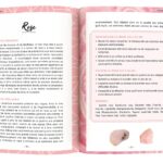 Livre : Les pierres au quotidien.