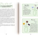 Livre : Les pierres au quotidien.