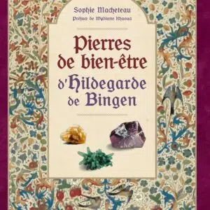 Livre : Pierres de bien-être d'Hildegarde de Bingen.
