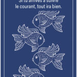 Coffret : Le pocket oracle des couleurs.
