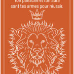 Coffret : Le pocket oracle des couleurs.