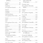 Livre : Le pouvoir de l'esprit animal - Vers un chemin de guérison grâce à l'enseignement des animaux-guides.